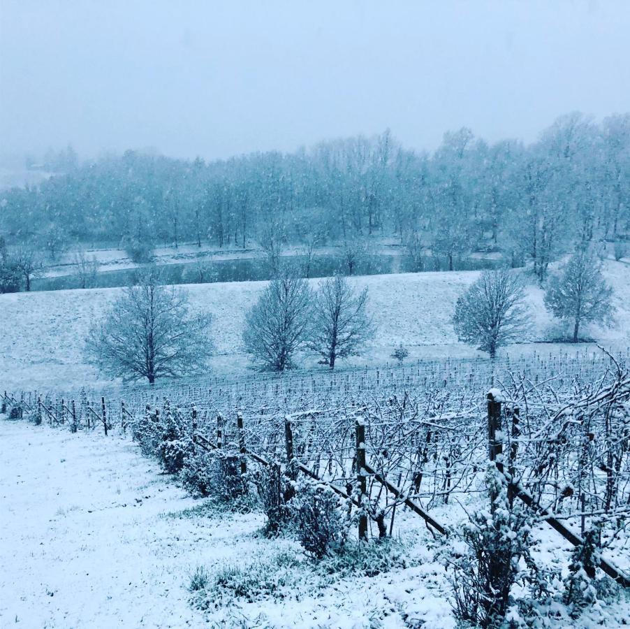 Valditerra Vini - B&B La Rombetta Tassarolo Εξωτερικό φωτογραφία